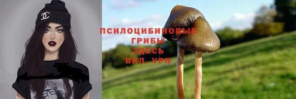 мяу мяу мука Абдулино